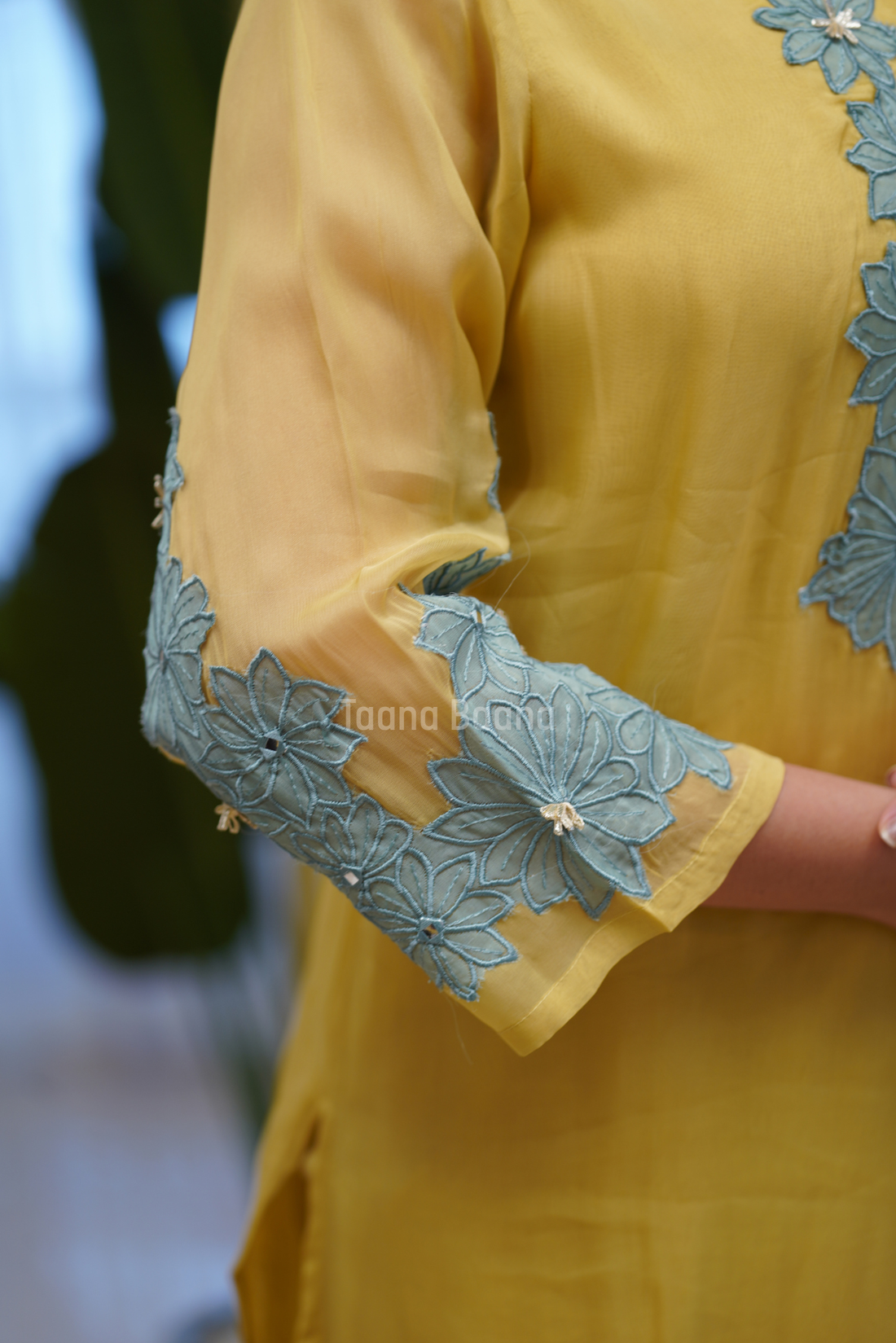 Dupatta Pant Set